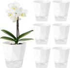 6 Pack Self Watering Plant Pots 6 Inches Self-Watering Planters for Indoor and Outdoor Plants African Violet Succulent Pots Clear Pot for Plants Large Herb Orchid Flower Houseplant Plant, White