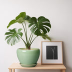 6 Inch Plant Pot - Ceramic Planter for Indoor Plants Round Planter Outdoor Plant Pot with Drainage Hole and Saucer Modern Flower Pot for Succulent Garden Green