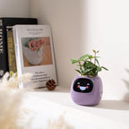 Smart Planter Pot with Automated Watering, Purple Plastic
