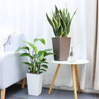 2 Pack Self Watering Planters 10.7" x 6.9" Planter for Indoor Plants Self Watering Violet Pots Plastic Flower Pots Square Planter with a Bag of Clay Pebbles, Bronze