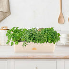 6 Pack Rectangle Planter 16x4.4 Inch Window Boxes Planters Rectangular Large Window Sill Planters Indoor Self Watering Plant Pots with Drainage Holes and Saucers Succulent Herb Flower Pots, Beige