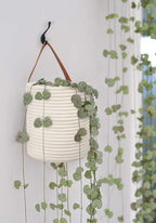 Goodpick 2pack Rope Hanging Basket - Small Round Hanging Baskets Storage for Key, Sunglasses, Wallet on Door - Modern Woven Baskets Wall Decor for Plant, White Cotton Basket 7.87 x 7 x 11.7 inches