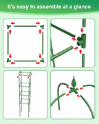 Garden Trellis for Climbing Plants Outdoor & Indoor - 6Ft Tall Rustproof Plant Support Cage for Vines, Flowers, Vegetables, Roses | Heavy-Duty, Adjustable & Decorative (3)