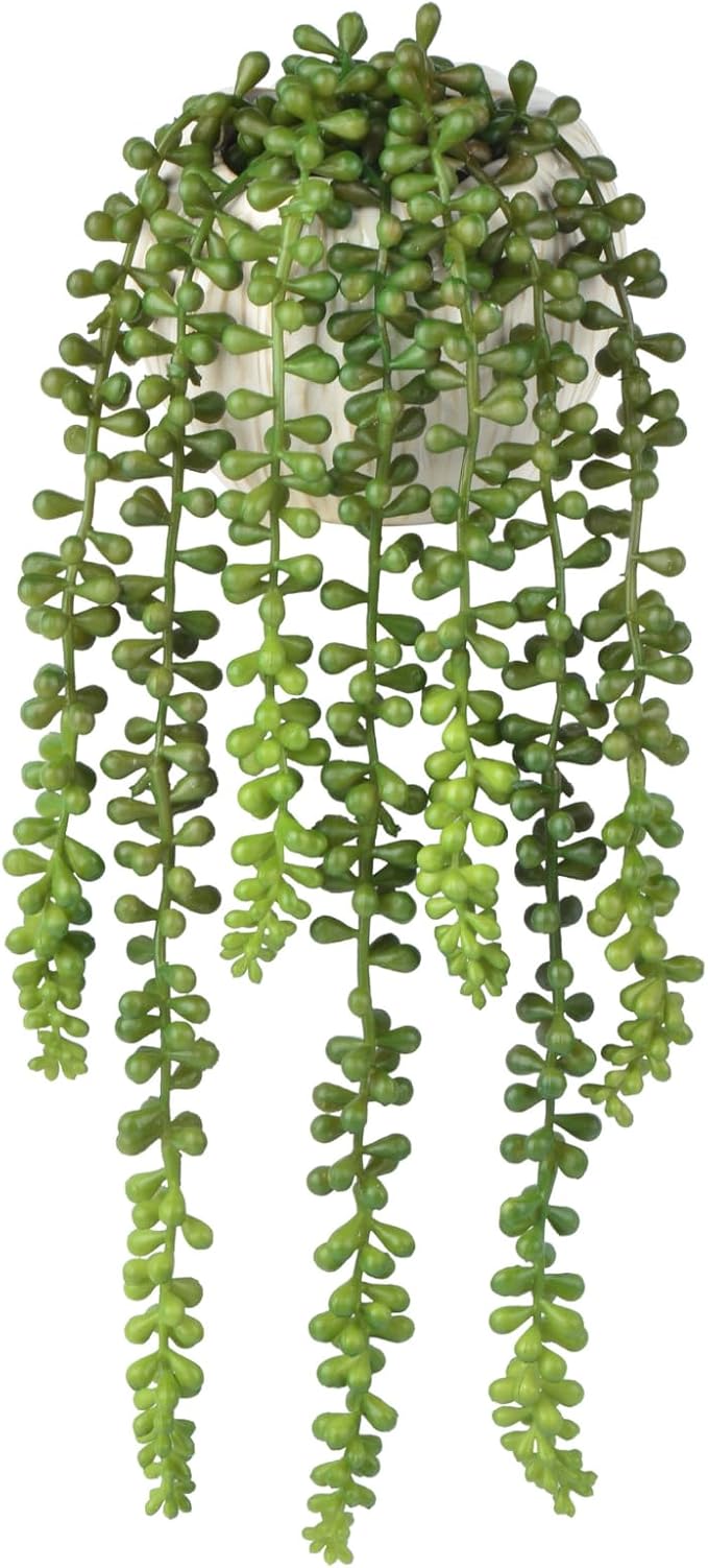 Artificial Plants Greenery, String of Pearls, Green Plastic, 15 Inch