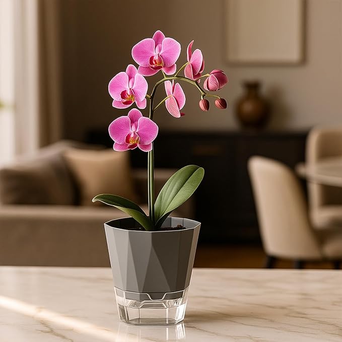2 Pack Self Watering Plant Pots 8.4" Self Watering Planters for Indoor and Outdoor Plants African Violet Self Watering Clear Pots for Plants Large Herb Orchid Flower Houseplant Pots, Dark Grey