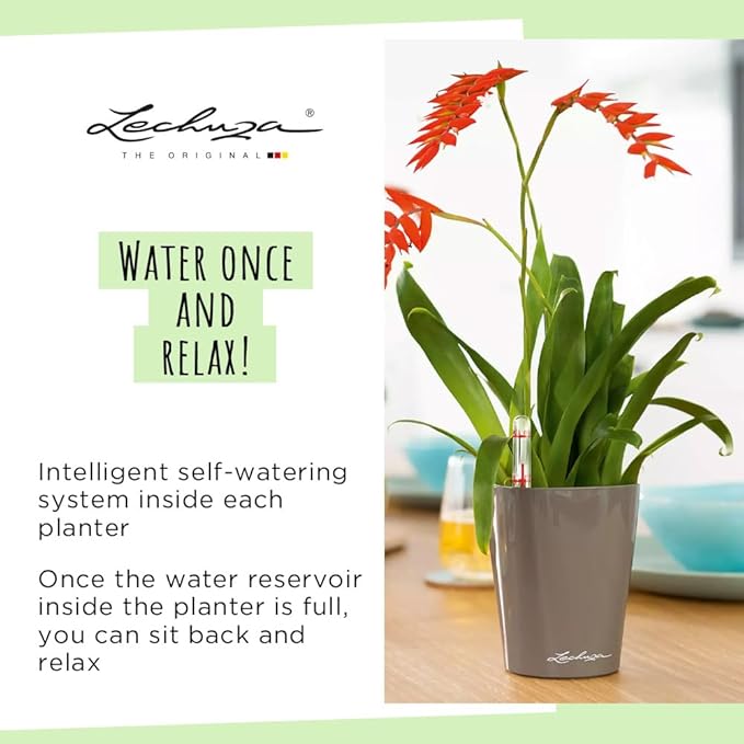 Lechuza MINI-DELTINI Scarlet Red High Gloss, Self-Watering Small Indoor Planter, H5.1 L3.9 W3.9 in