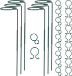 Plant Stake Support - 6 Pack Adjustable Height 16" or 30", Garden Support Stake Plant Cage Support Rings, Single Stem Plant Support Stakes, for Flowers Amaryllis Tomatoes Peony Lily Rose (30inch)