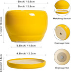 SQOWL 6 Inch Plant Pot - Ceramic Planter with Drainage Hole and Saucer, Modern Ceramic Flower Pots for Indoor Plants Outdoor, Round Decorative Small Planter, Desk Decor, Garden Gifts, Yellow