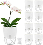 Planterhoma 8 Pack Self Watering Pots for Indoor Plants, 6 Inch Plant Pot Plastic Self Watering Planter for Orchid, African Violet, Small Clear Flower Pots with Drainage Holes and Wicking Rope, White