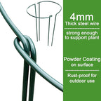 HiGift 16 Pack 24 Inch Plant Support Stakes, 10" Wide x 24" High Half Round Metal Garden Plant Stake Peony Support Cage, Green Plant Support Ring Border for Tomato,Hydrangea,Flower Indoor Outdoor