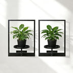 Wall Hanging Plant Stands Planter Shelves, Indoor Outdoor Window Plant Hanger Decor for Living Room Entryway (White 3-Pack)