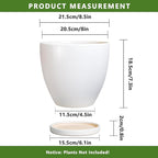 8 Inch Plant Pot - Ceraimc Planter for Indoor Outdoor Plants, Round Flower Pots with Drainage and Tray, House Decor, White