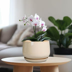 G EPGardening Ceramic Planter - 7 Inch Plant Pots with Drainage and Ceramic Tray, Flower Pots for Indoor Plants, Round Outdoor Planter, Room Decor, Gifts for Plant Lovers, Beige