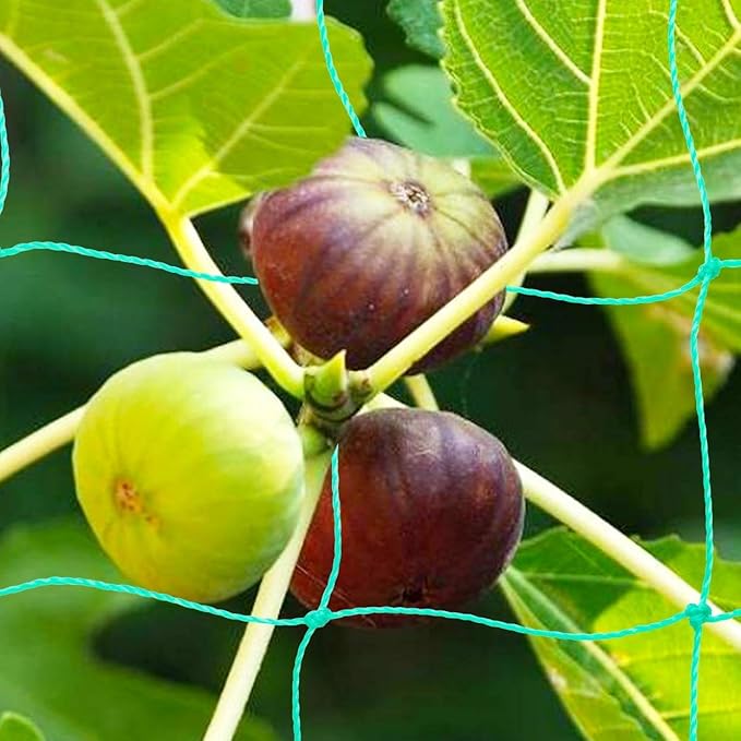 Pack of 2 Cucumber Tomato Trellis Netting, Heavy Duty Garden Netting Support for Climbing Plants, Pea, Grape, Bean, Fruit, Vegetables - 4" Mesh Size - 6Ft x 16.4Ft