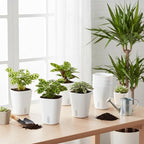 10 Sets 4" Self Watering Pots for Indoor Plants, Plastic Self Watering Planter Pots with Visual Water Level Clear Inner Cup and Multiple Vents for House Plants, Flowers, African Violets