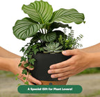 Self-Watering Hanging Planters for Indoor Plants Set 2-Piece Includes Plant Hanging Pot, Drainage-Hole Hanging Pot, and Hanging Basket Rack (10 Inches, Black)