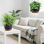 Hanging Planters for Indoor Plants, Set of 2 8/10 Inch Self-Watering Hanging Pots with Drainage Hole & Removable Water-Storage Tray II Screw-in Hooks
