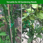 Plant Ties, 164 Feet 8mm Green Garden Twine Soft Garden String Stretchy Tree Supports Biodegradable for Tomato Plants, Climbing Roses and Vines Organizing
