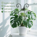 Coomin 14.5 Butterfly Indoor Plant Trellis for Potted Plants, Small Metal House Plant Trellis for Climbing Plants, Climber Plant Support for Hoya Pothos Ivy, 2p