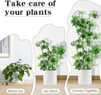 ZOUTOG Trellis for Climbing Plants Indoor 4 Pack 30 Inch,Rustproof Metal Garden Trellis for Potted Plants,Sturdy Houseplant Support Indoor Outdoor for Ivy Pothos Monstera Hoya Flower Vine(Black Round)