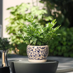 SQOWL Ceramic Flower Pots - 6 Inch Plant Pot Indoor with Drainage Hole and Saucer, Porcelain Ceramic Planter Outdoor, Decorative Round Small Planter, House Decor, Plant Lover Gifts, Blue and Beige