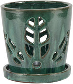 W&W Orchid Pot with Holes and Saucer for Repotting, Green Mix, 5.5 Inch