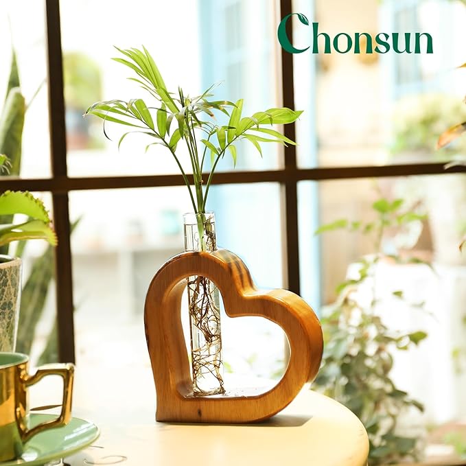 Terrarium Wall Planter with Glass Test Tube, Heart Shaped Pine Wood Stand