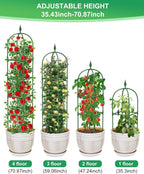 Garden Trellis for Climbing Plants Outdoor & Indoor - 6Ft Tall Rustproof Plant Support Cage for Vines, Flowers, Vegetables, Roses | Heavy-Duty, Adjustable & Decorative (3)