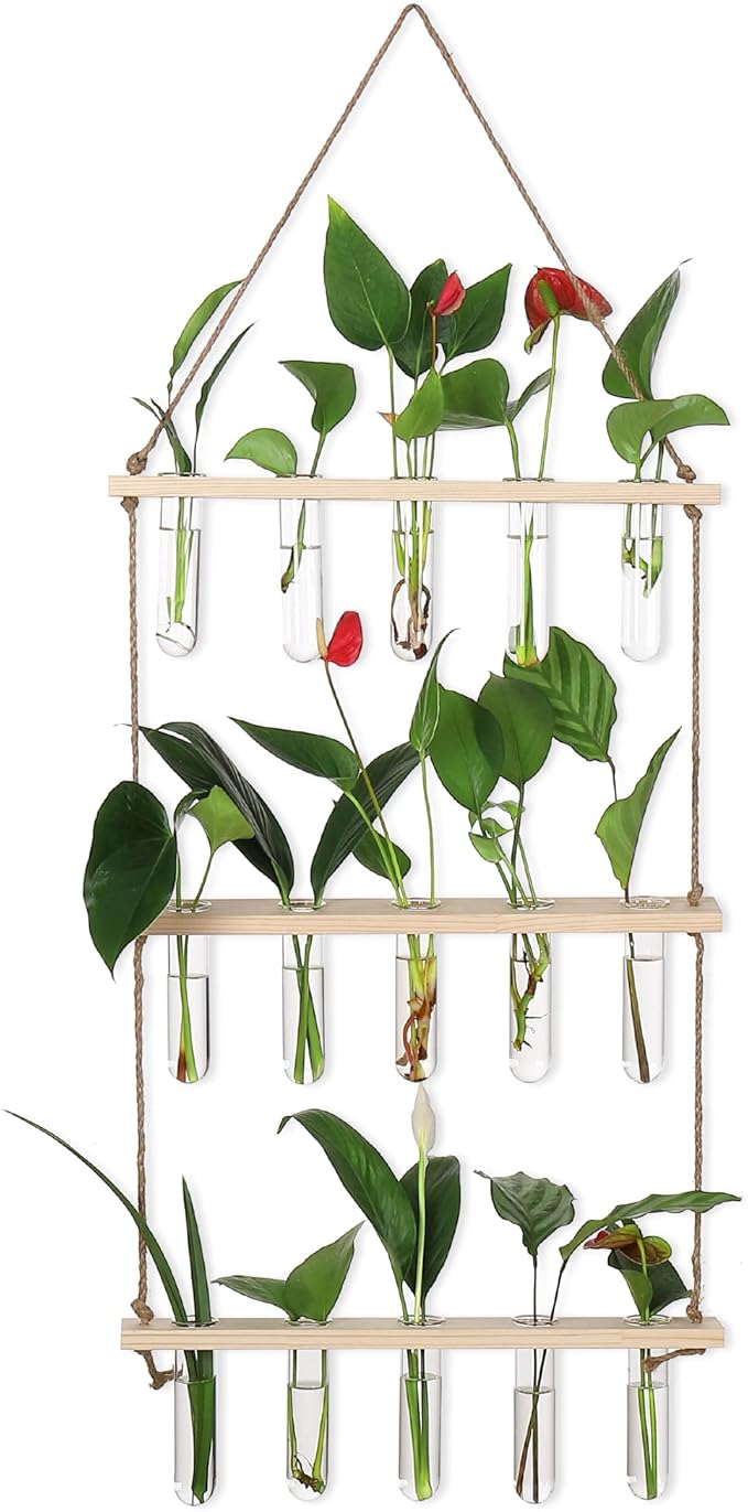 Terrarium Propagation Station with 16 Glass Test Tubes, Beige Wood Stand