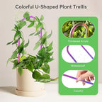 3 Pack Colorful Acrylic Plant Trellis for Indoor Plants, U-Shaped Small Plant Trellis for Potted Plants, Waterproof Climbing Support for Vine Ivy, Hoya, Pothos, Home Garden Decor