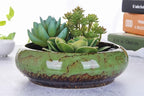 VanEnjoy 7.3 inch Round Large Shallow Succulent Ceramic Glazed Planter Pots with Drainage Hole, Bonsai Pots Garden Decorative Cactus Stand Flower Container (Green)