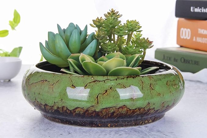 VanEnjoy 7.3 inch Round Large Shallow Succulent Ceramic Glazed Planter Pots with Drainage Hole, Bonsai Pots Garden Decorative Cactus Stand Flower Container (Green)
