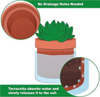 Phoenix Vine 4 Inch Self Watering Planter Pot, Terracotta Clay Pot with Glass Reservoir for Indoor Plants, Herbs, Flowers, Set of 2, 52-A-E-2