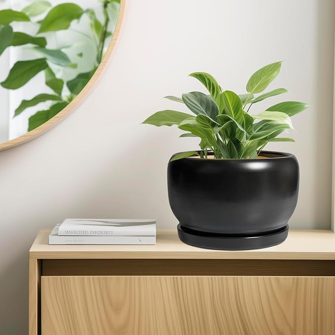 SQOWL Ceramic Flower Pot - 10 Inch Planter with Drainage Hole and Saucer, Modern Large Plant Pot Indoor Outdoor, Decorative Round Planter, Bedroom Decor, Gifts for Plant Lovers, Black
