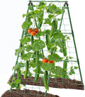 Cucumber Trellis Garden Trellis Arch Trellis, Tall Trellis for Climbing Plants Support Vegetable Peas Fruit Vine Outdoor A-Frame Trellis Suit for Small Plant not Heavy