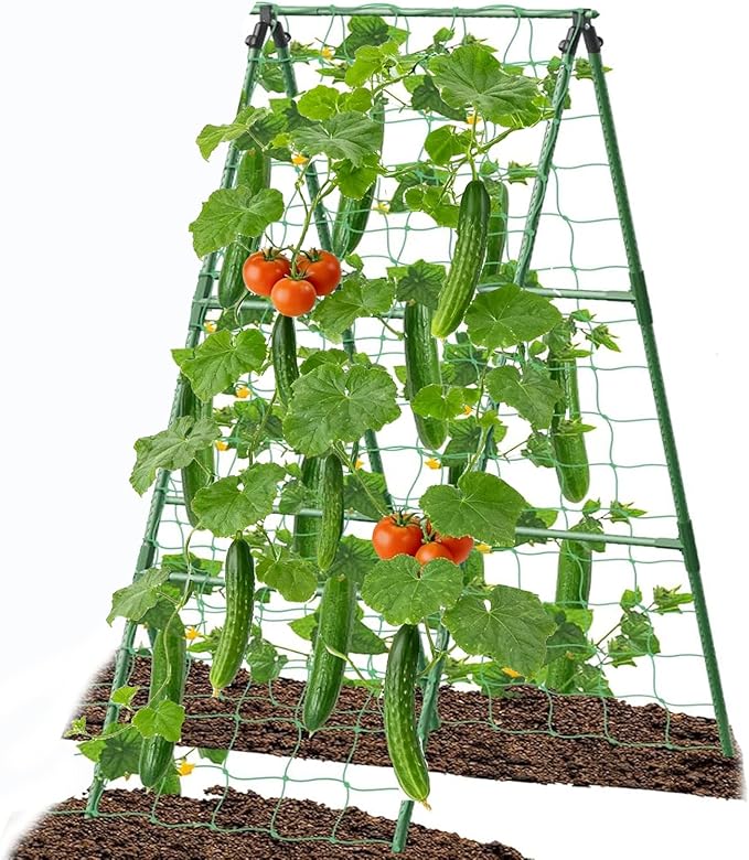 Cucumber Trellis Garden Trellis Arch Trellis, Tall Trellis for Climbing Plants Support Vegetable Peas Fruit Vine Outdoor A-Frame Trellis Suit for Small Plant not Heavy