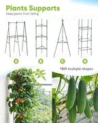 Quictent Galvanized Raised Garden Bed 6x3x2 Ft Metal Planter Box Bottomless for Backyard, Include 1 pc Tomato Cage, Silver