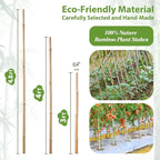 Plant Stakes, 4.8 FT Natural Bamboo Garden Stakes, 20Pcs Plant Stakes,Bamboo Sticks for Tomato,Beans,Vegetable and Climbing Plants