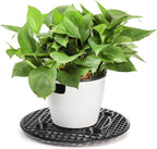 15 PCS Plant Level Pot Elevator, 12 inch Plastic Potted Plant Stands, Large Patio Planter Riser Holder, Deck Floor Protector to Prevent Rot Damage, Plant Trivet for Indoor Outdoor Garden
