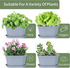 Windowsill Herb Garden Planter with Tray, Set of 6 Grey Oval Farmhouse Garden Pots for Indoor/Outdoor Plants (No Seeds)