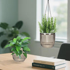 Self Watering Planters for Indoor Plants & Outdoor Plants Hanging Basket for Plants Modern Air Plant Pots with Drainage, Adjustable Hooks for Home, Balcony, Garden Décor Grey