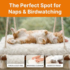 Cat Hammock with Industrial-Grade Suction Cups - Solid Pine Wood Seat, Soft Cushion - 42 lb Capacity