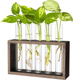 Terrarium Propagation Station with 5 Glass Test Tubes, Brown Wood Stand