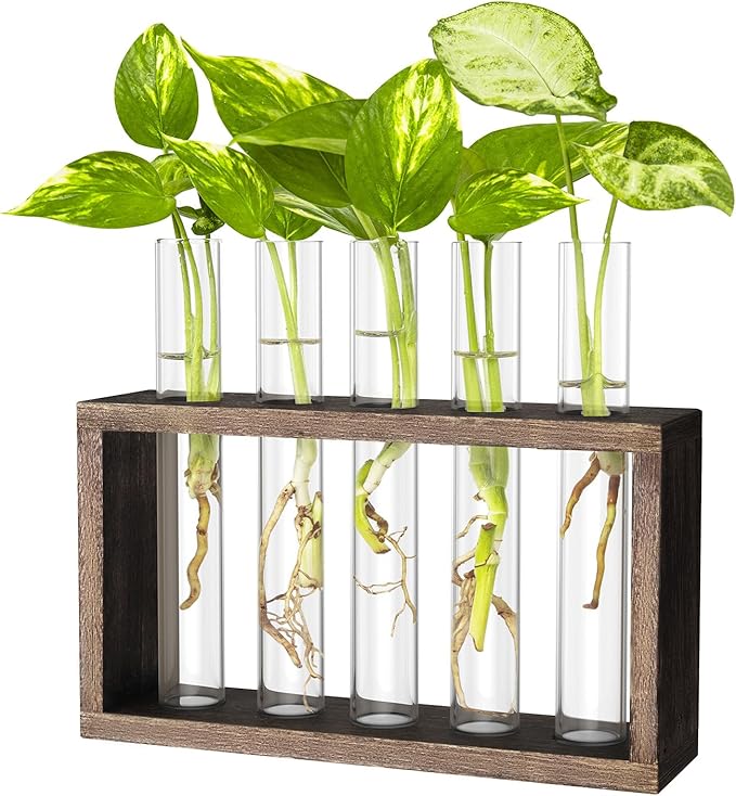 Terrarium Propagation Station with 5 Glass Test Tubes, Brown Wood Stand