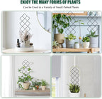 Metal Trellis for Climbing Plants Indoor, 16.36 inch Small Trellis for Potted Plants Geometric Shape Lattice for Ivy Vines Hoya Houseplants Flower 2 Pack