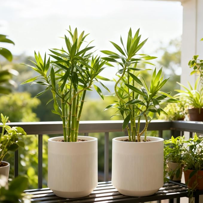Plant Pots，Set of 2 Plastic Large Pots for Indoor Plants,Flower Pots Outdoor Planters with Drainage Hole and Seamless Saucer,(White 12Inches)