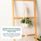 Nook Theory 4-Pack Macrame Plant Hangers with 8 Hooks - Hanging Planters for Indoor Plants, Boho Macrame Hangers Indoor Outdoor, Decorative Plant Hanger Indoor (Caramel)