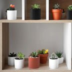 Planter Pots, 18 Count Matte White Plastic Mini Pots With Saucers