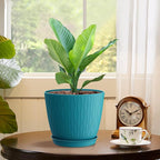 6 inch Plant Pots, 5 Pack Flower Pots with Drainage Holes and Saucers for Indoor Plants, Plastic Planters with Water Ripple for Small Garden House Plants, Nursery Pots for Succulent, Blue Green