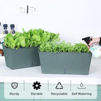 Window Box Planter 6 Pcs, 16.5 Inches Self Watering Rectangle Flower Plant Pots with Drainage Holes Trays, Vegetable Planters for Windowsill Patio Garden Balcony Porch Yard (Dark Green)